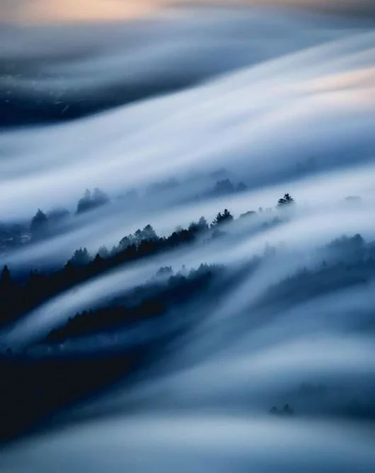 kelly needleman silky flow