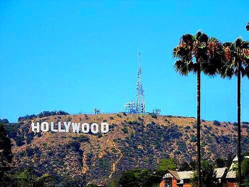 hollywood sign with palm trees t20 XQodeX