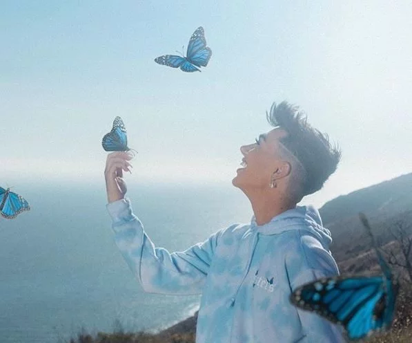 james charles butterflies