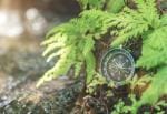 How To Build a Compass Outdoors