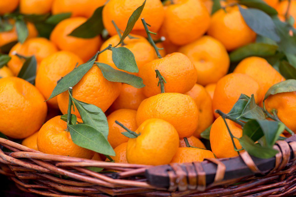 How is Vitamin C Beneficial for the Human Body, and what are its Sources?