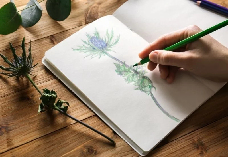 The Beginner’s Guide To Starting an Art Journal