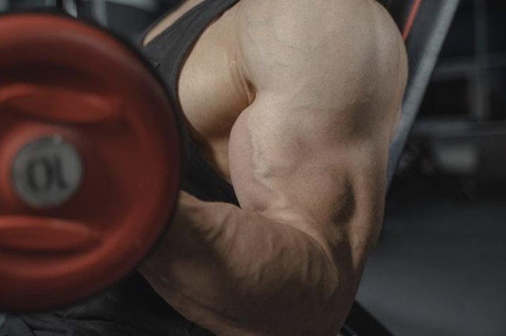 Six ways to Increase Muscle Mass Naturally