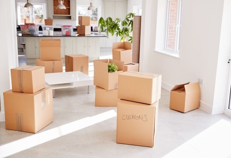 pros-and-cons-of-moving-out-of-your-parents-house