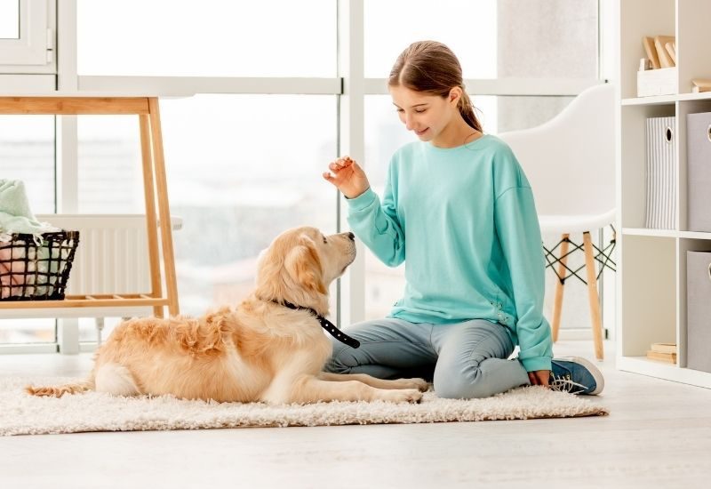 4 Great Ways To Spend Time With Your Dog