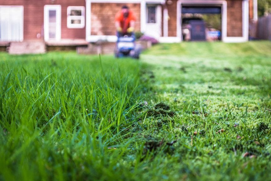 first lawn mowing of the spring season t20 QoJ8aa