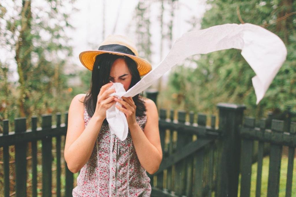 What You Can Do About Your Allergies at Home