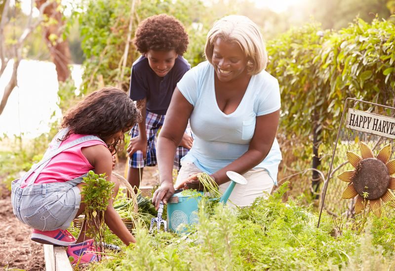 The Best Outdoor Activities To Do With Your Grandparents