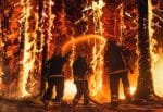 Three wildland firefighters in protective clothing and equipment using a hose to spray water on a blazing group of trees.