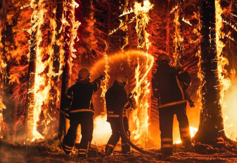 4 Facts You Didn’t Know About Wildland Firefighting